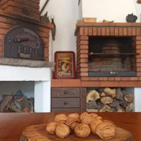 Bejeque