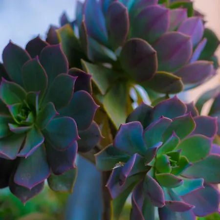 Hébergement de vacances Bejeque