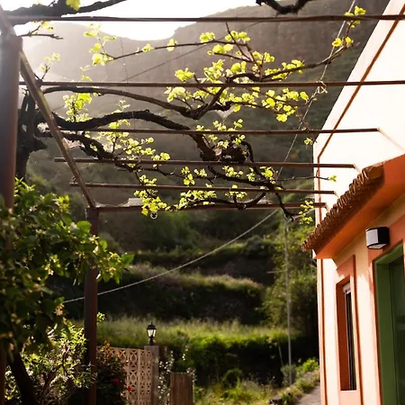 Bejeque Teror