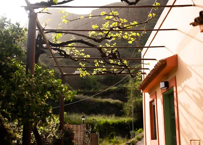 Bejeque Teror