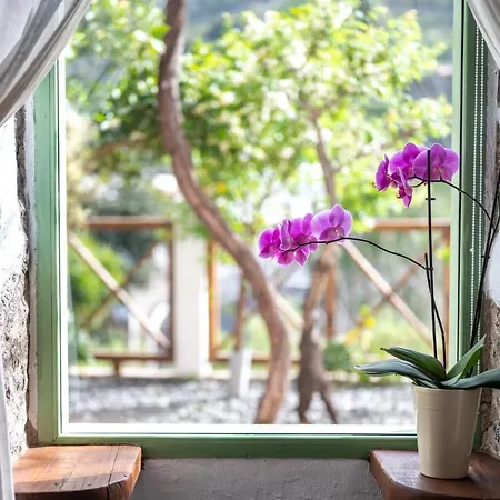 Bejeque Casa de Férias